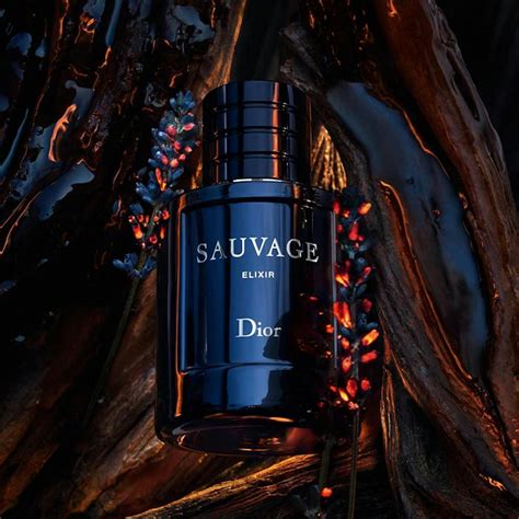 dior elixir perfume|sauvage elixir 100ml best price.